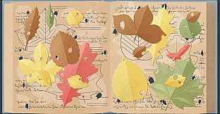 A Little to the Left: Seeing Stars