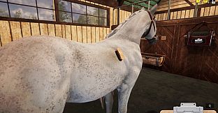Animal Shelter - Horse Shelter DLC
