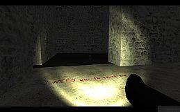 Madness of the Architect