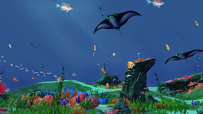 Fancy Fishing VR