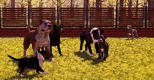 Animal Shelter 2 - Bull-Type Terriers Dogs Pack
