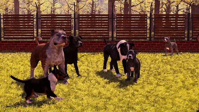Animal Shelter 2 - Bull-Type Terriers Dogs Pack