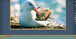 Jigsaw Puzzle Pack - Pixel Puzzles Ultimate: PP2 Birds