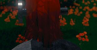 Hide and Seek - Screw Head