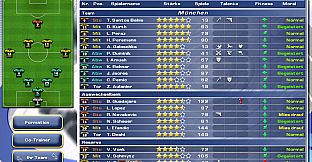 Team Manager - Football Manager FUN