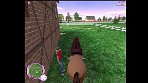 Grand horse attraction