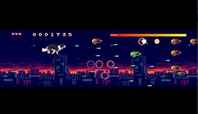 BorderCollie Blaster