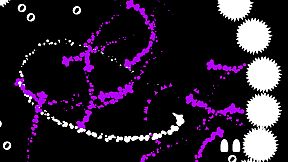 DRUM'N'BASS MASSACRE