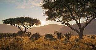 theHunter: Call of the Wild - Vurhonga Savanna