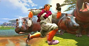 USFIV: Shoryuken Vacation Pack