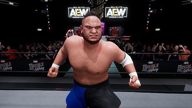 AEW: Fight Forever - World War Joe