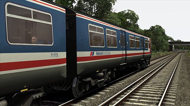 Network South East Class 319 Add-on Livery
