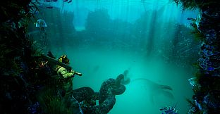 HALOCLINE