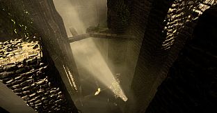 The Woods: VR Escape the Room