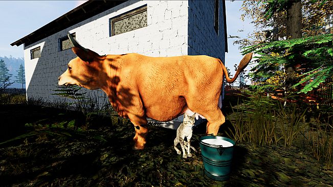 Farmer's Life - Pimp my Cottage DLC