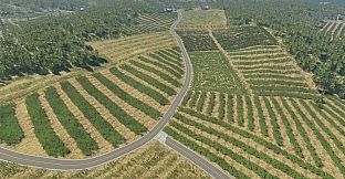 The Island of Bad Women