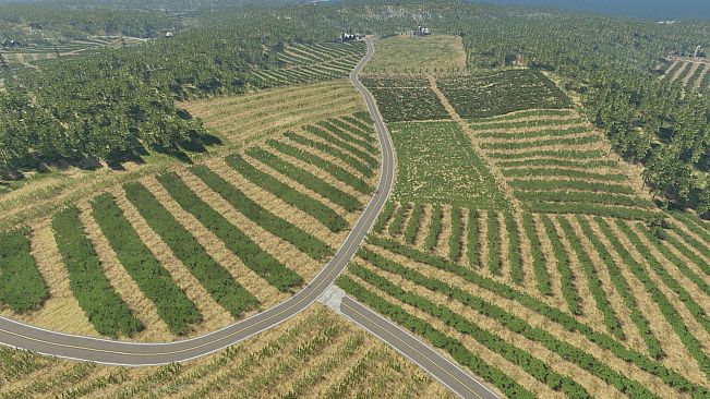 The Island of Bad Women