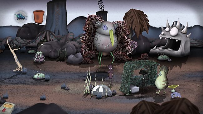 non - The First Warp