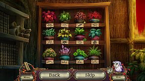 Awakening: The Redleaf Forest Collector's Edition