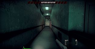 Entities Detected
