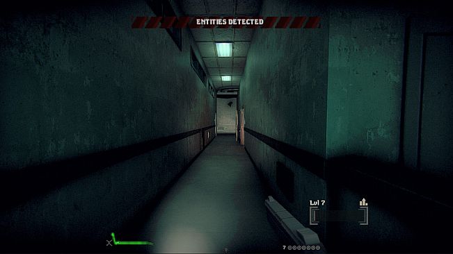 Entities Detected