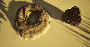 Metal Detecting Days