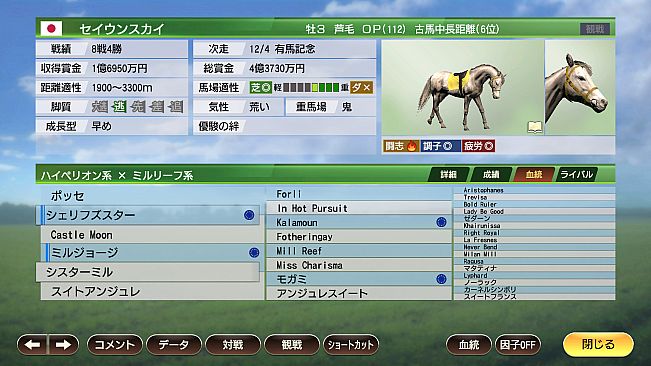 WP9 2022 花の９５年組 購入権セット 全４頭