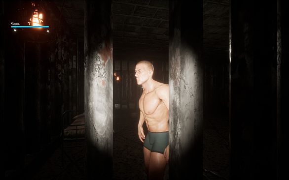 Veranoia: Nightmare of Case 37