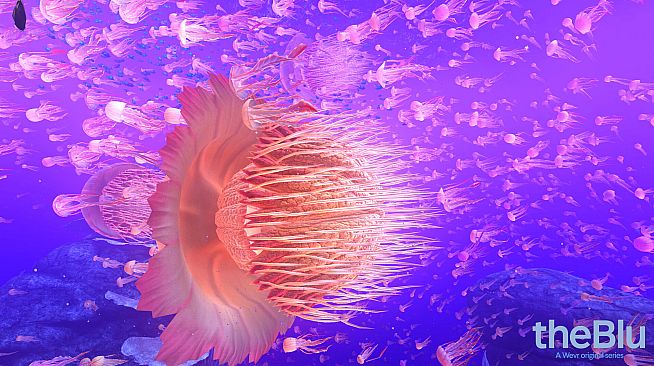 theBlu - Reef Migration