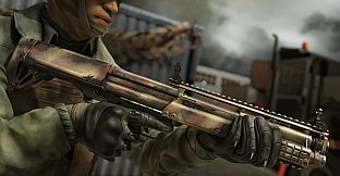 Insurgency: Sandstorm - Desert Veteran Weapon Skin Set