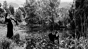 Misericorde Volume Two: White Wool & Snow