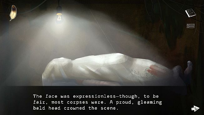 Reflections in Amber