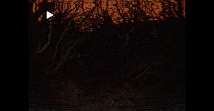 Deeply Dark: Files