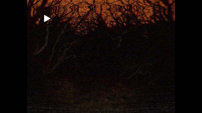 Deeply Dark: Files
