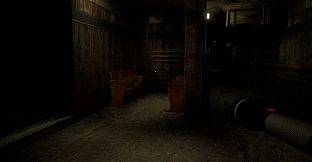 THE SILENT BUNKER SCREAMING ECHOES