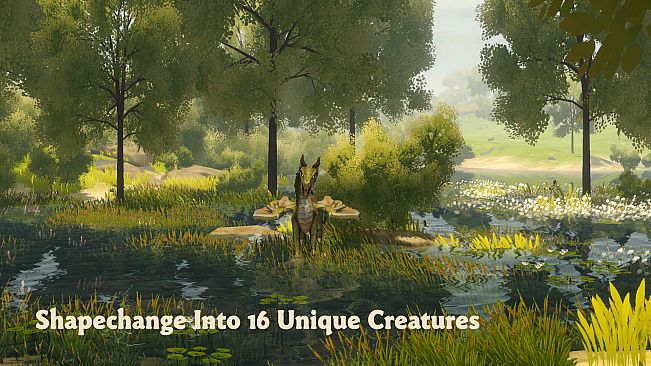 Wilderless: Meadowfell