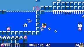 Me and (My) Cat's Island