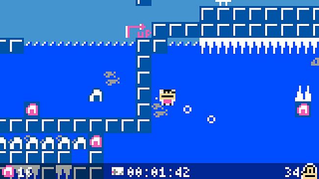 Me and (My) Cat's Island