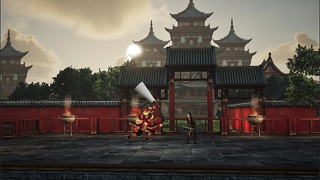 the Shadow of Swallow