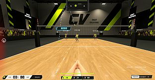 CrazyVolleyball