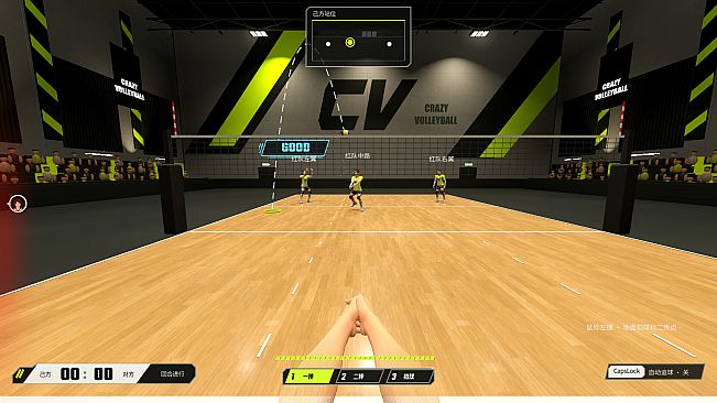 CrazyVolleyball