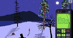 The M/S Cornelia II Incident