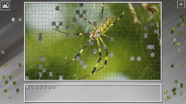 Super Jigsaw Puzzle: Generations - Random Animals 3