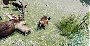 WolfQuest Anniversary - Hellroaring Mountain