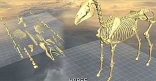 World of Guns VR: 5 Skeletons Pack