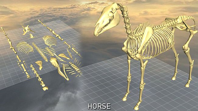 World of Guns VR: 5 Skeletons Pack