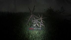 The Disappearance of Emily Crowe