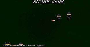 Ninja Soldier Raid