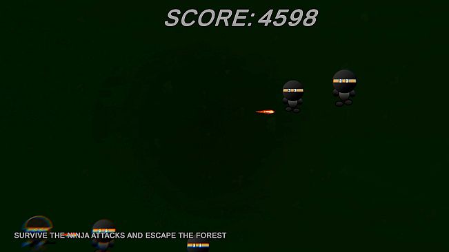 Ninja Soldier Raid