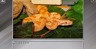 Super Jigsaw Puzzle: Generations - Snakes Puzzles
